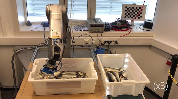 Teaching a Robot to Grasp Real Fish by Imitation L...