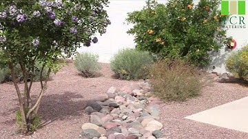 Rain Bird ESP-LX Controller  Prioritise stations