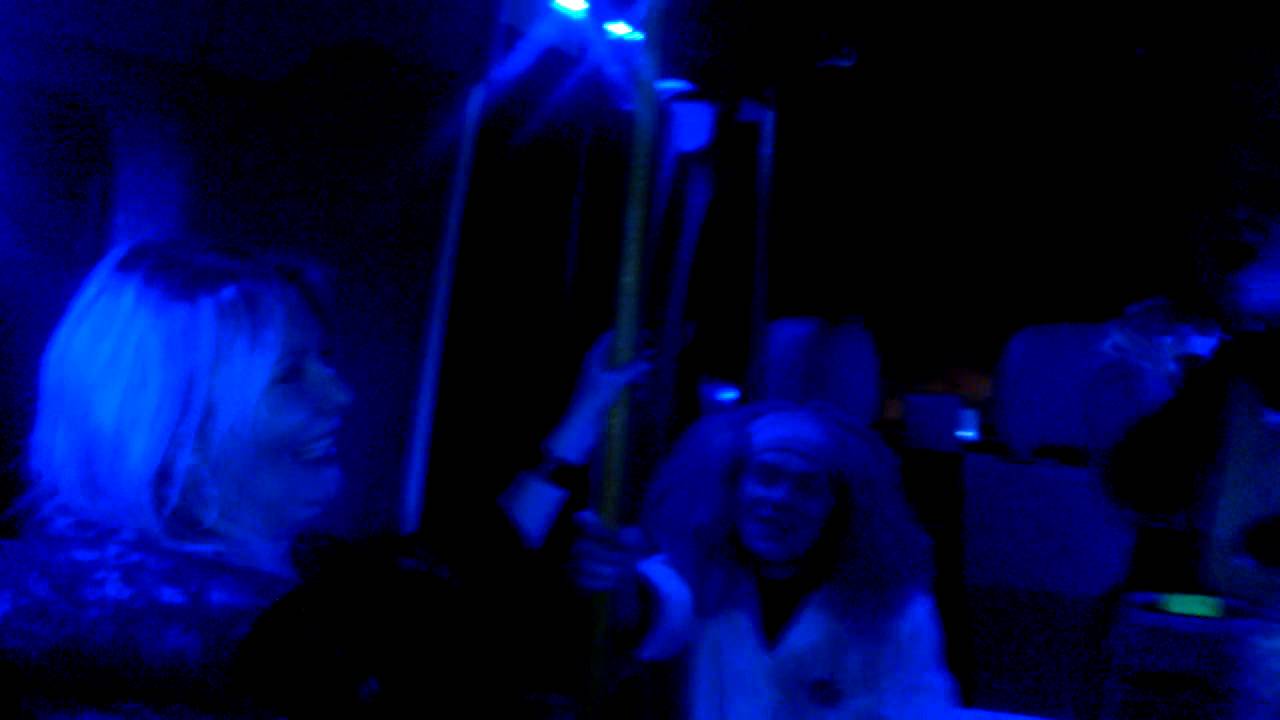 Karaoke Party Bus Diane's 50th YouTube