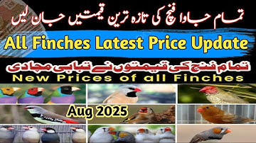 All Finches Latest Price Update 2025 | Java Finch Latest Price | Gouldian Finch Price | Aug 2025