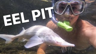 Snorkeling In My Eel Pit