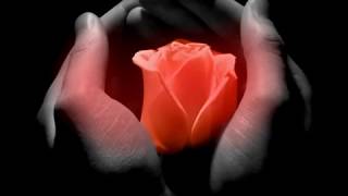 Download Lagu Kenny G - Sister Rose (Instrumental) MP3 Download Lagu Kenny G - Sister Rose (Instrumental) MP3