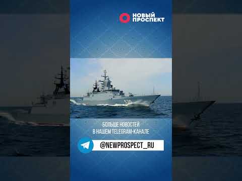 В Петербурге спустили