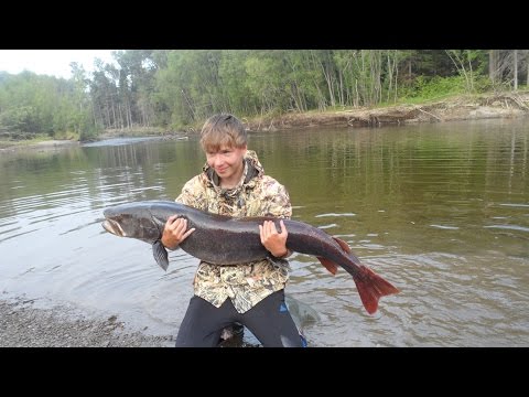 какой спиннинг нужен для ловли тайменя