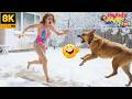 Try Not To Laugh 🤣 Top 100 Funniest Videos Ever 😂 | Funny Videos Compilation 2026 #224