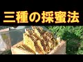 ニホンミツバチ 三種の採蜜法　Three honey collection methods of  Japanese honeybee