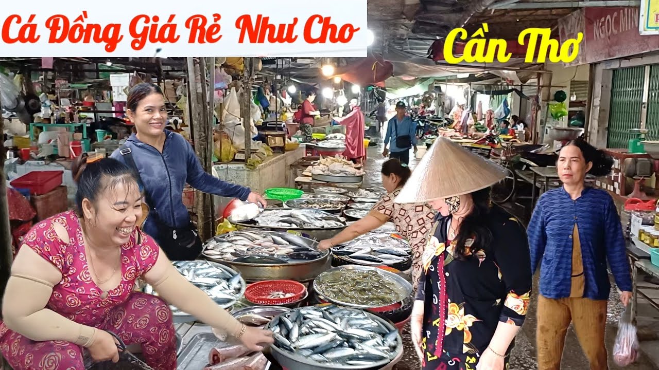 Quá thảm : đã Ế còn gặp Trời mưa bảo Chợ Vĩnh Thạnh - Cần Thơ, quá nhiều tôm cá giá rẻ bèo 