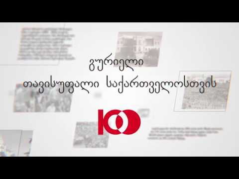 გურიელი თავისუფალი საქართველოსთვის - ანა გოგუაძე