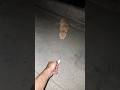 ساعه ٢ الصبح سمعت صوت يم الباب وجانت المفاجأة ساعه ٢ الصبح سمعت صوت يم الباب وجانت المفاجأة