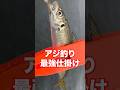 今流行りのアジ釣り最強仕掛けがコレ。#shortvideo #shorts #short #釣り #fishing #ULSJ