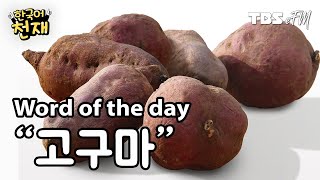 Soft and Sweet 🍠 "고구마" | Word of the day screenshot 1