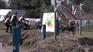 Aurelie Boyhuyne Marathon Can Vlezenbeek 2015