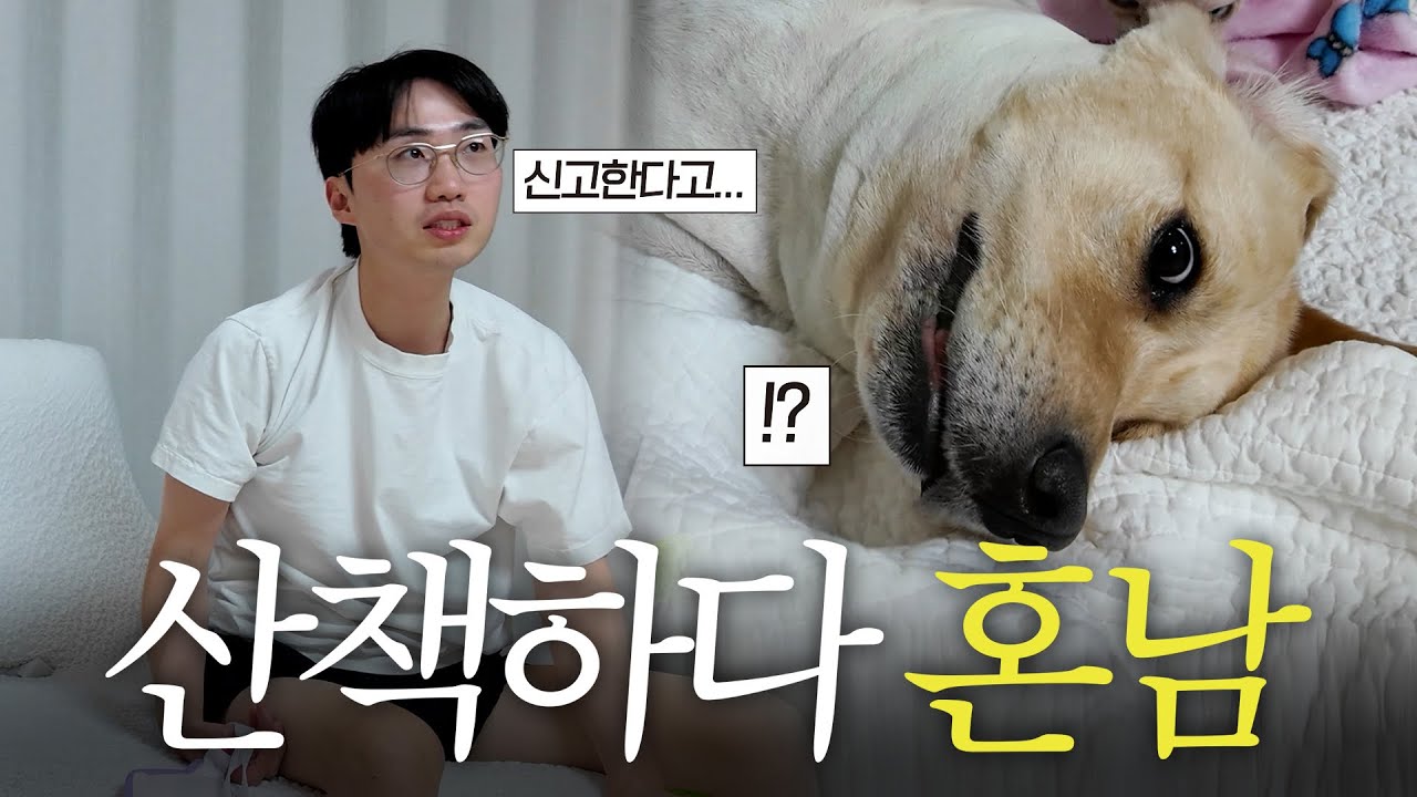 더 이상 욕 먹고 싶지 않습니다.