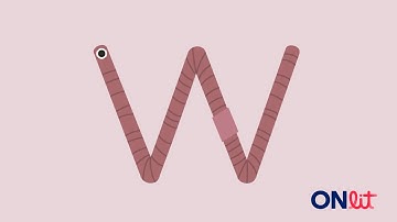 Embedded Mnemonic - W Instructional Video (Blendable)