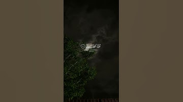 سورة الإخلاص تلاوه هادئه