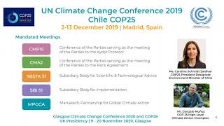 Sustainable Transport - The Journey Towards UNFCCC COP25 - Webinar #2