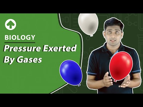 Wideo: Wzór na ciśnienie wywierane przez gaz?