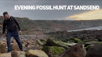 Evening Fossil Hunt At Sandsend With Some Lovely Finds #fossils #fossilhunting #whitby #jurassic