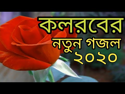 bangla-new-gojol-2020-kolorob-|-new-islamic-bangla-song-2020-kolorob-|-ভাবিয়ে-তোলার-দূশ্য