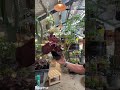 ライブ ハイライト