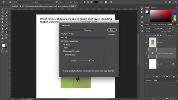 exporting layers as a PNG 24