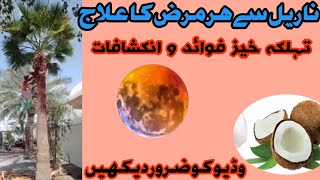 ناریل اللہ کی بہترین نعمت