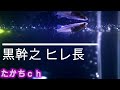 #8 後編　【黒幹之】新しいメダカ紹介【ヒレ長】