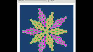 Pentagonal Tiling