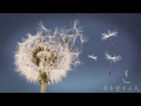 GLAY「春を愛する人」ギター