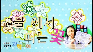 물에서 활찍 피는 종이꽃 실험!!