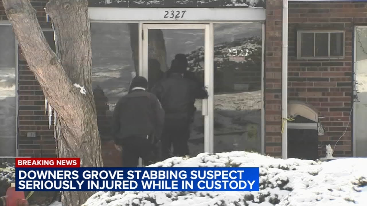 BREAKING: Man charged with killing pregnant woman in Downers Grove ...