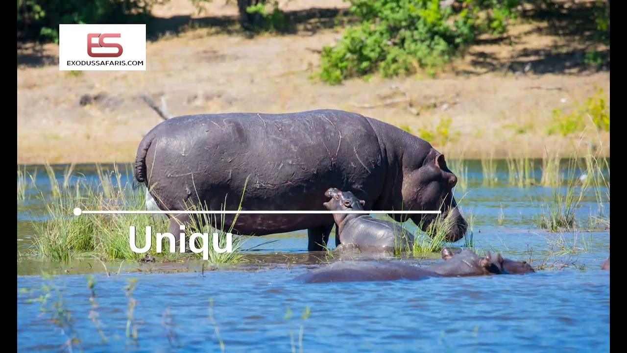 Exodus Safaris in Nairobi kenya