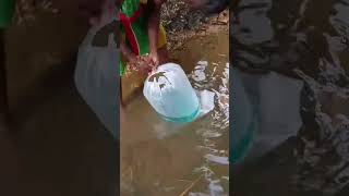 🐟 Red ❤️ fish 🐠 farm 🐟❤️🐠