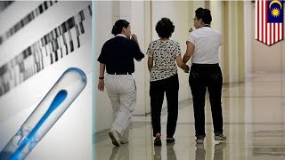 Malaysia Airlines flight MH17 crash: DNA forensics tests identify 298 victims