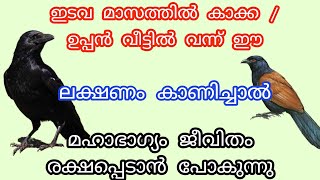 ഈ ഇടവ മാസത്തിൽ കാക്ക / ഉപ്പൻ വീട്ടിൽ വന്ന് ഈ ലക്ഷണം കാണിച്ചാൽ.. jyothisham Malayalam.. astrology