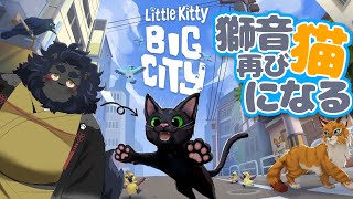 【 Little Kitty, Big City 】 あぁ素晴らしき、ぐ～たら猫ライフ