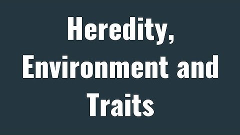 MAPC 1st Yr, MPC-003, B-3, U-2, Part 3