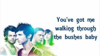 Hot Chelle Rae- Bushes Lyrics