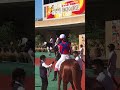 永島まなみ　ﾄｰﾎｳｷｻﾞﾝ号　パドック風景① 20220924中京競馬1R