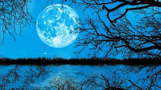 Relaxing Saxophone Music - Best Smooth Love Songs - Romantic Music Hits 2021 screenshot 2