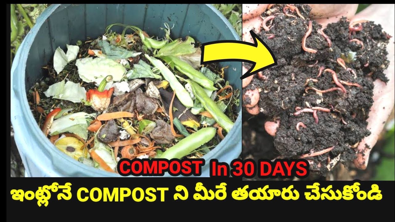 How To Make kitchen waste compost at home పురుగులు, వాసన లేకుండా కేవలం