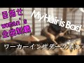 【叩いてみた】ワーカーインザダークネス/My Hair is Bad【woman's全曲制覇 8曲目】