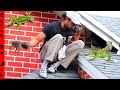 REMOVING IGUANAS LAYING EGGS in the ROOF of our HOME!