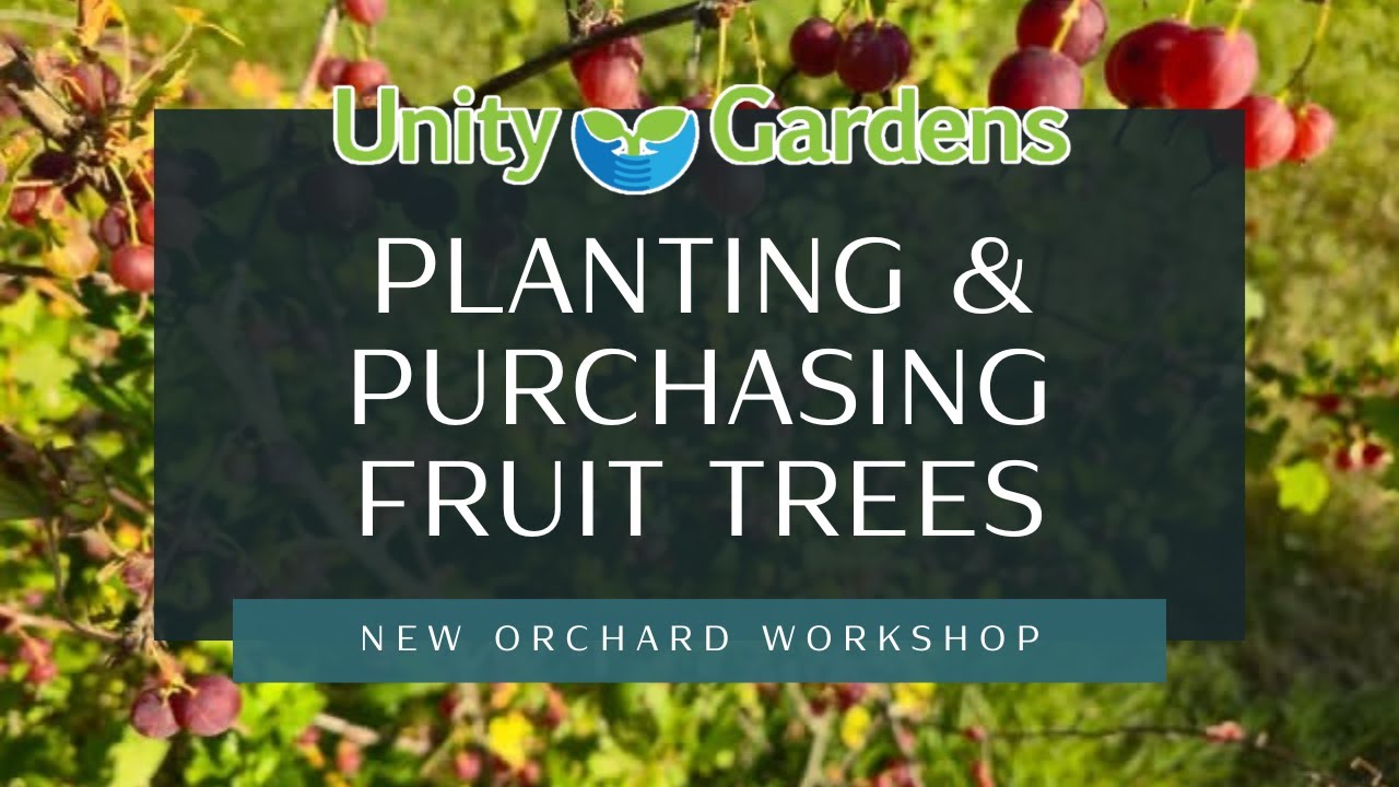 Purchasing & Planting