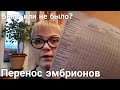 Второе ЭКО. Перенос эмбрионов. Биооптима. Часть 5