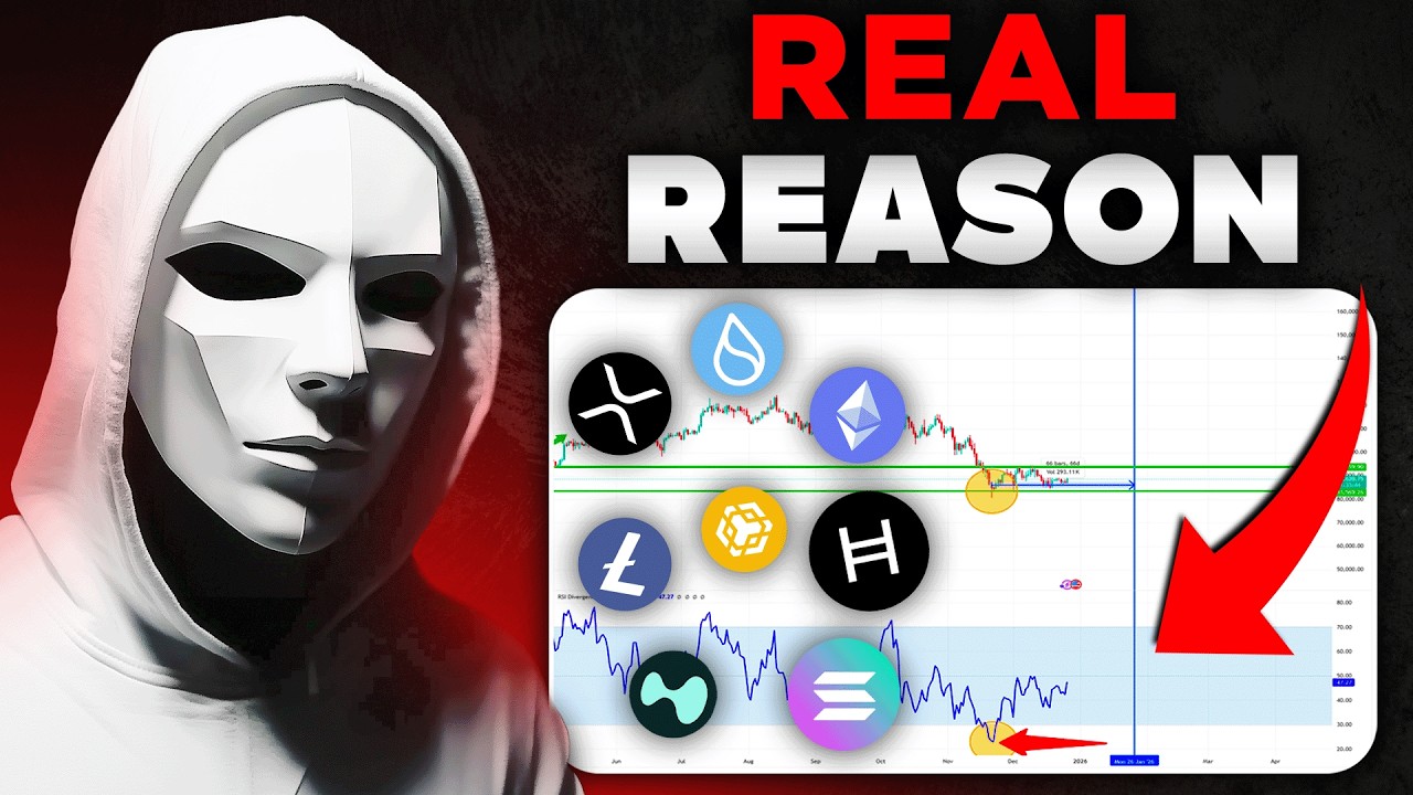 The REASON Why Altcoin Season Hasn’t Happened (And When It Could ...