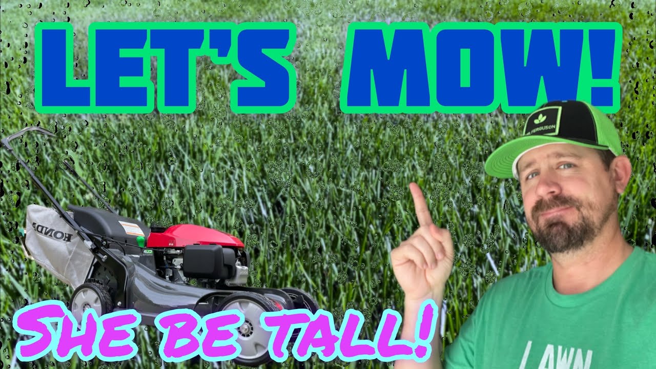 An Enjoyable Mow After The Rains! YouTube