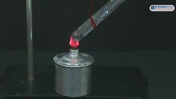 SCTS | Physics | AP & TS | 9th  | Laws Of Motion | Experiment -2