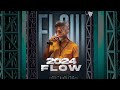 2024 flow criminal remix  ali raja  prod minhas beats  official audio 2024