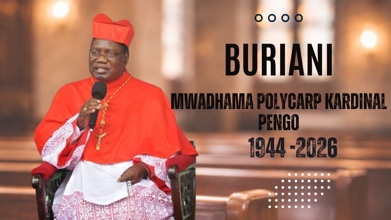 Как печально, что кардиналу Пенго пришлось произнести эти слова перед смертью. Он не знал, что вс...